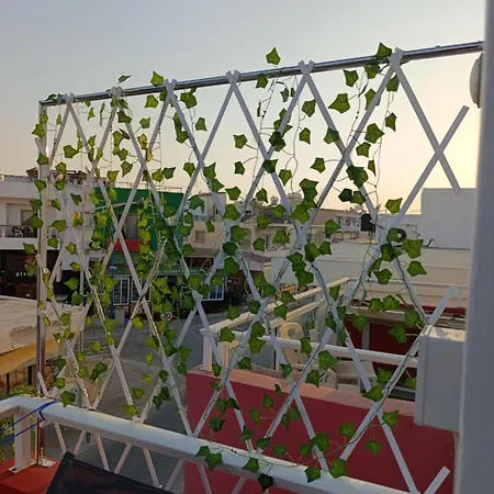 Luxury No. 202 * 아이아 나파